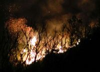 Φωτιά Ηλεία: Πυρκαγιά στην περιοχή Κολοκυθάς Φωτιά Ηλεία: Πυρκαγιά στην περιοχή Κολοκυθάς