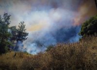 Πολιτική Προστασία: Σε αυτές τις περιοχές υπάρχει υψηλός κίνδυνος πυρκαγιάς σήμερα Πολιτική Προστασία: Σε αυτές τις περιοχές υπάρχει υψηλός κίνδυνος πυρκαγιάς σήμερα