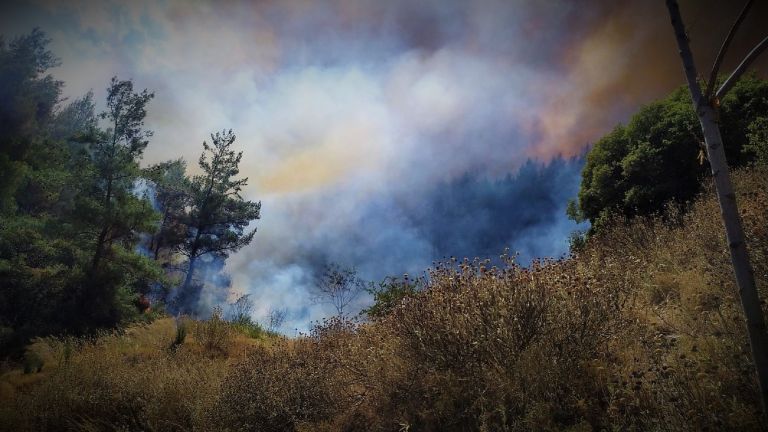 Φωτιά τώρα στη Νέα Μάκρη | Ειδησεις | Pagenews.gr