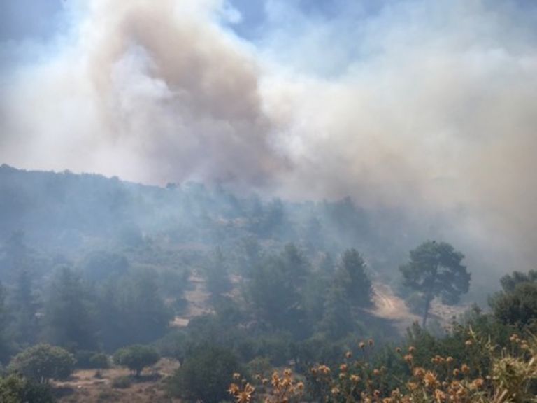 Φωτιά Κύπρος: Μεγάλη πυρκαγιά που κατακαίει σε μήκος 20 χιλιομέτρων