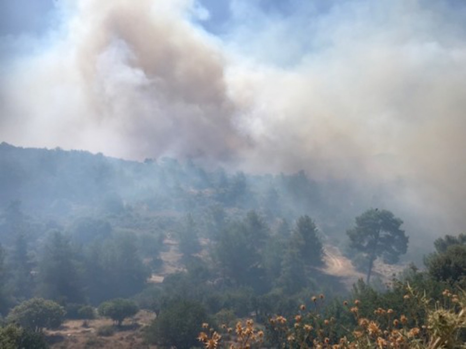 Φωτιά Κύπρος: Μεγάλη πυρκαγιά που κατακαίει σε μήκος 20 χιλιομέτρων