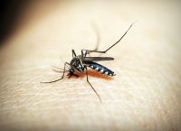 Πώς να σταματήσω τη φαγούρα από τσίμπημα κουνουπιού