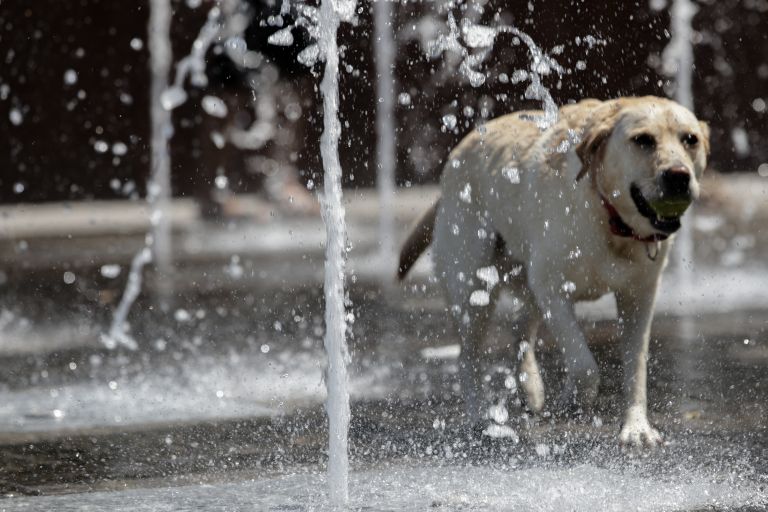 Καιρός σήμερα: Η πρόγνωση για την Πέμπτη 27 Αυγούστου 2020