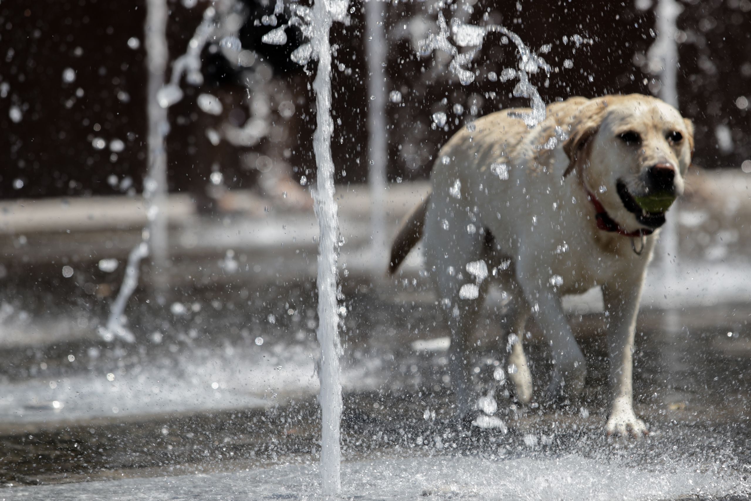 Καιρός σήμερα: Η πρόγνωση για την Πέμπτη 27 Αυγούστου 2020