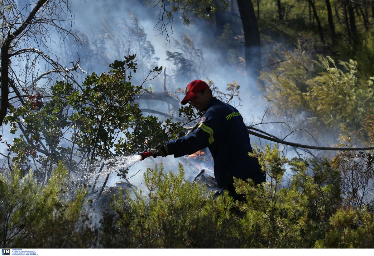 Φωτιά Κερατέα: Ανεξέλεγκτη η φωτιά – Εκκενώνονται οικισμοί
