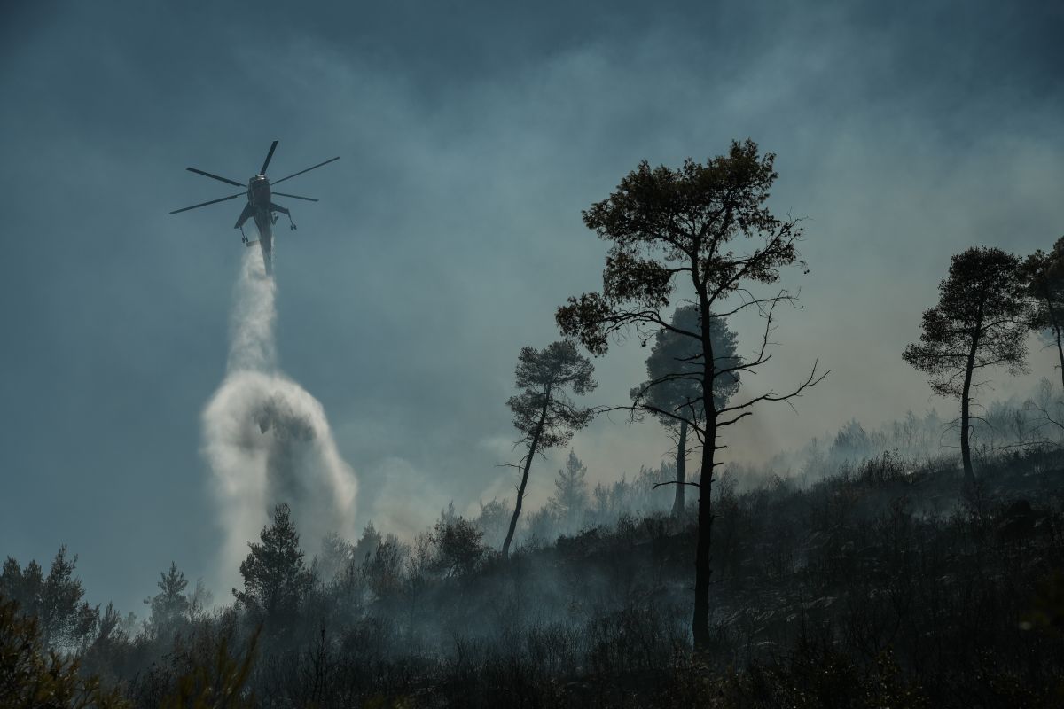 Φωτιά Νέα Μάκρη: Ενισχύθηκαν οι δυνάμεις της Πυροσβεστικής – Σε ισχύ κυκλοφοριακές ρυθμίσεις