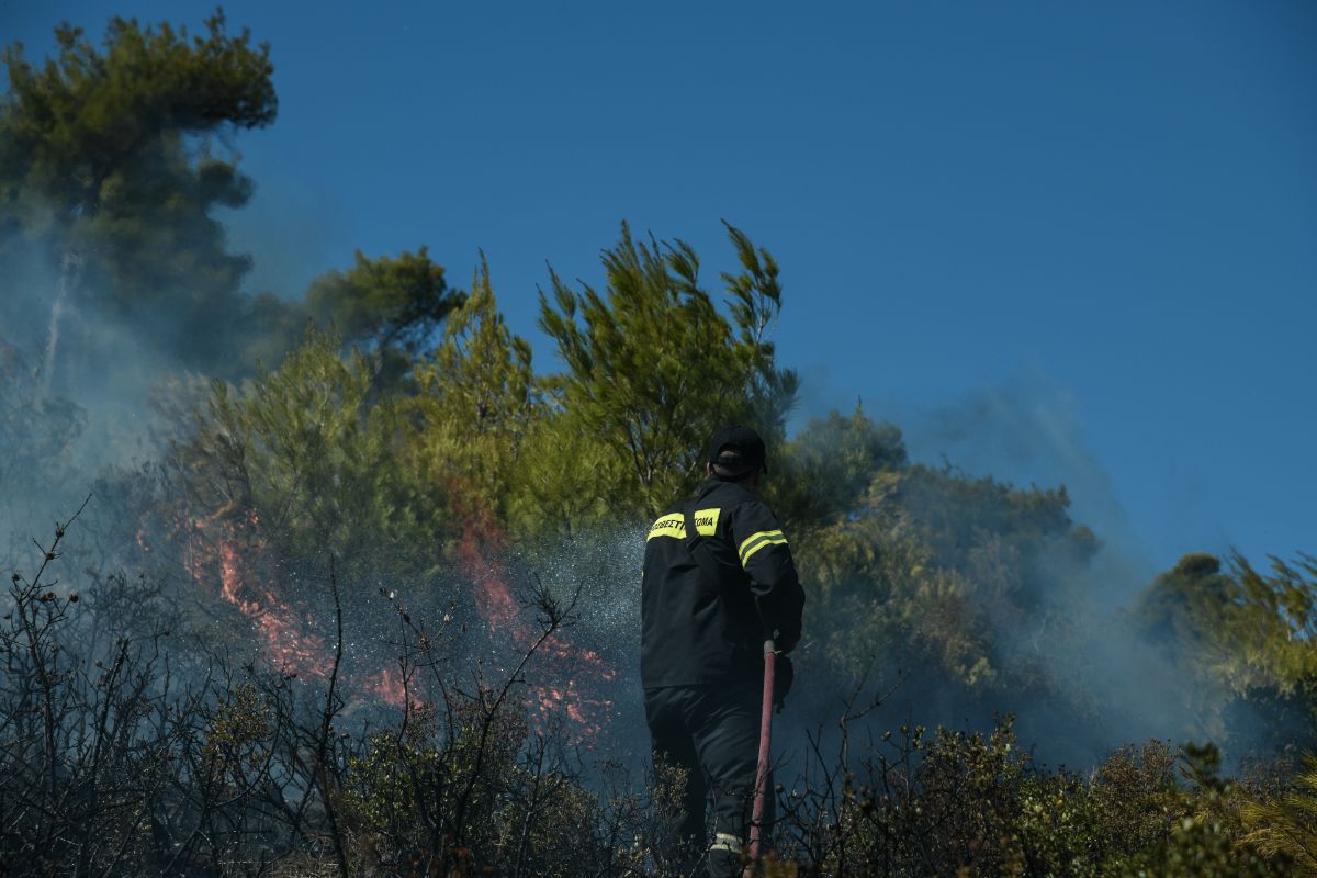 Φωτιές τώρα: Δύο πυρκαγιές σε Ηλεία και μία στη Λακωνία