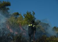 Φωτιά Μεγαλόπολη: Συναγερμός στην Πυροσβεστική – Καίγεται δασική έκταση Φωτιά Μεγαλόπολη: Συναγερμός στην Πυροσβεστική – Καίγεται δασική έκταση