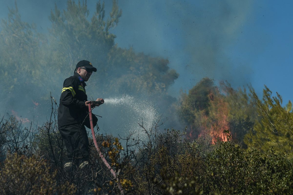 Φωτιές τώρα: Πυρκαγιές σε Κορινθία και Αχαΐα