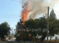 Φωτιά Σφαγεία Λαμία: Πυρκαγιά ξέσπασε δίπλα από το κτίριο Φωτιά Σφαγεία Λαμία: Πυρκαγιά ξέσπασε δίπλα από το κτίριο