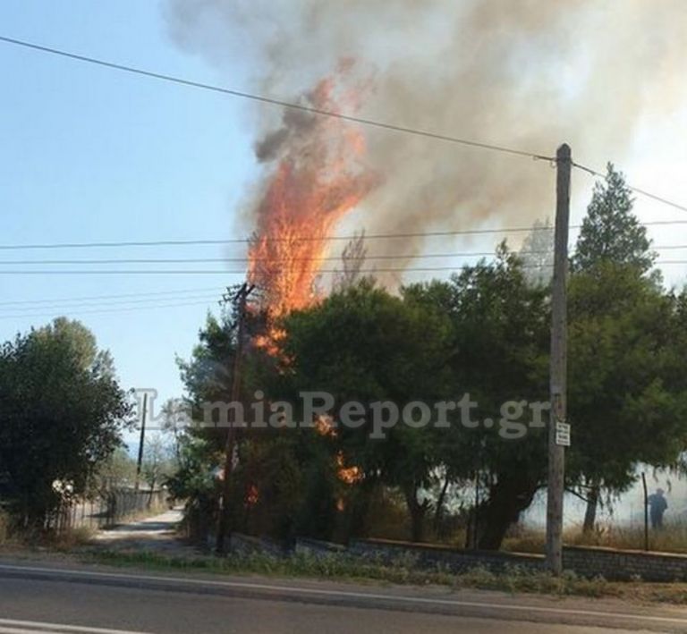 Φωτιά Σφαγεία Λαμία: Πυρκαγιά ξέσπασε δίπλα από το κτίριο