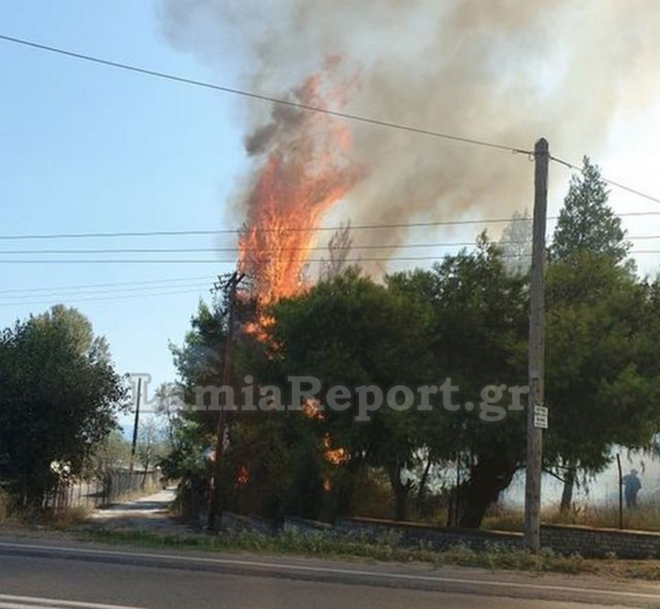 Φωτιά Σφαγεία Λαμία: Πυρκαγιά ξέσπασε δίπλα από το κτίριο