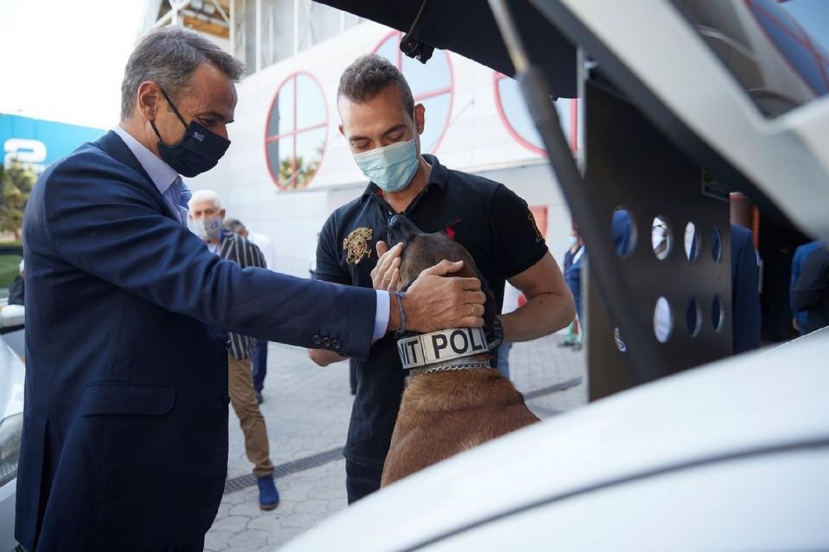 Η συνάντηση του Μητσοτάκη με ένα σκύλο στη ΔΕΘ