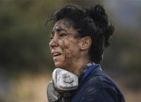Φωτιά Ανάβυσσος: Η ηρωίδα που έδωσε μάχη με τις φλόγες – Συγκλονίζουν οι φωτογραφίες Φωτιά Ανάβυσσος: Η ηρωίδα που έδωσε μάχη με τις φλόγες – Συγκλονίζουν οι φωτογραφίες