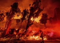 Καλιφόρνια φωτιές: Ένα πάρτι προκάλεσε τη μεγάλη πυρκαγιά που κατακαίει την πολιτεία Καλιφόρνια φωτιές: Ένα πάρτι προκάλεσε τη μεγάλη πυρκαγιά που κατακαίει την πολιτεία