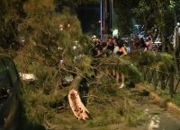 Χαλάνδρι: Πεζός τραυματίστηκε στο κεφάλι ύστερα από πτώση δέντρου