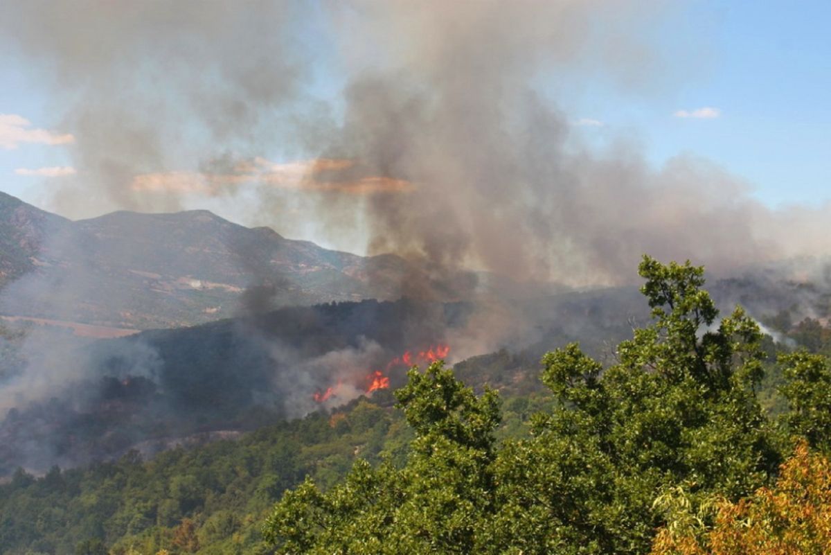 Φωτιά τώρα στην Πύλο: Πυρκαγιά ξέσπασε σε αγροτοδασική έκταση