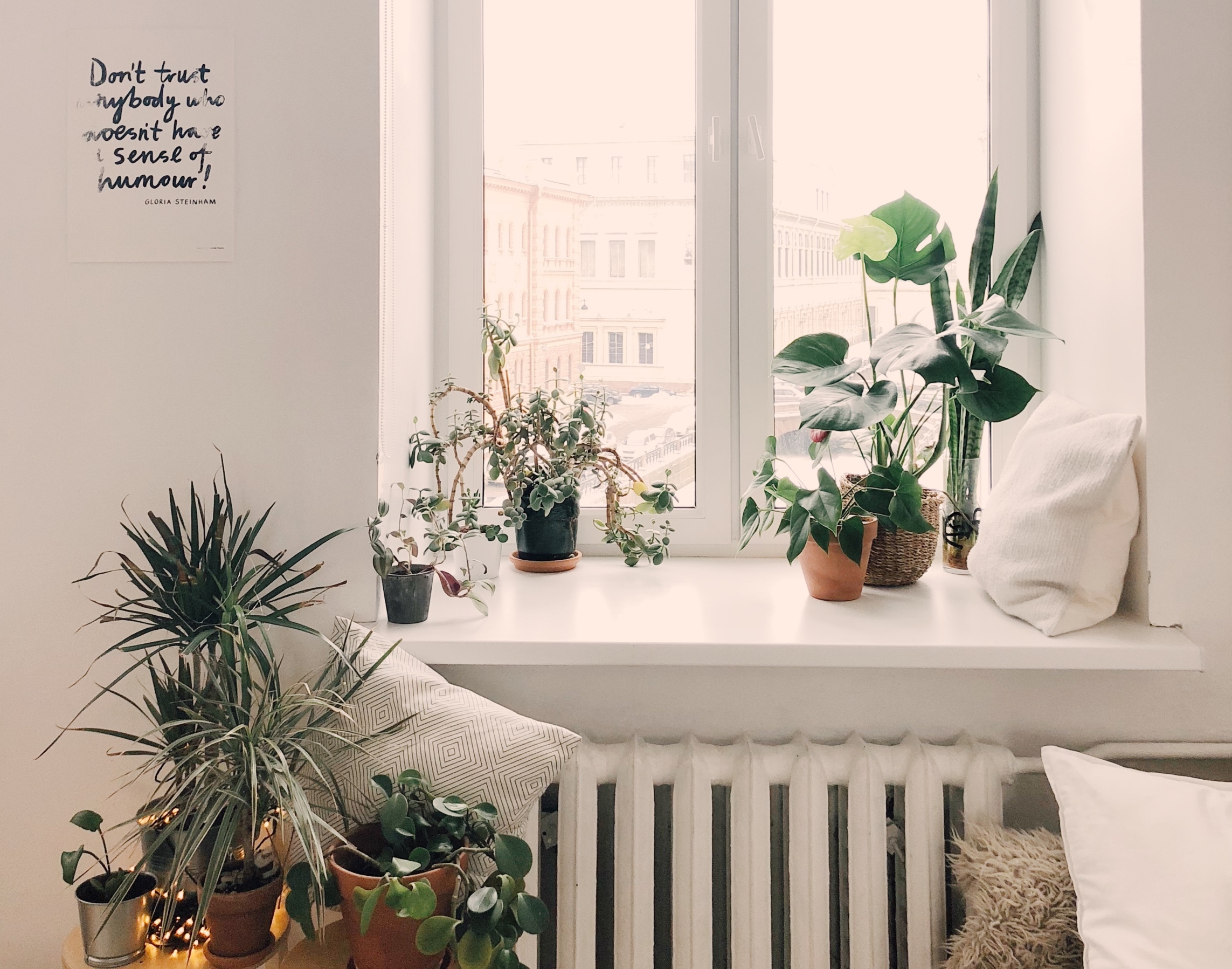 Πώς να περιποιηθούμε σωστά τα φυτά μας μετά τις διακοπές