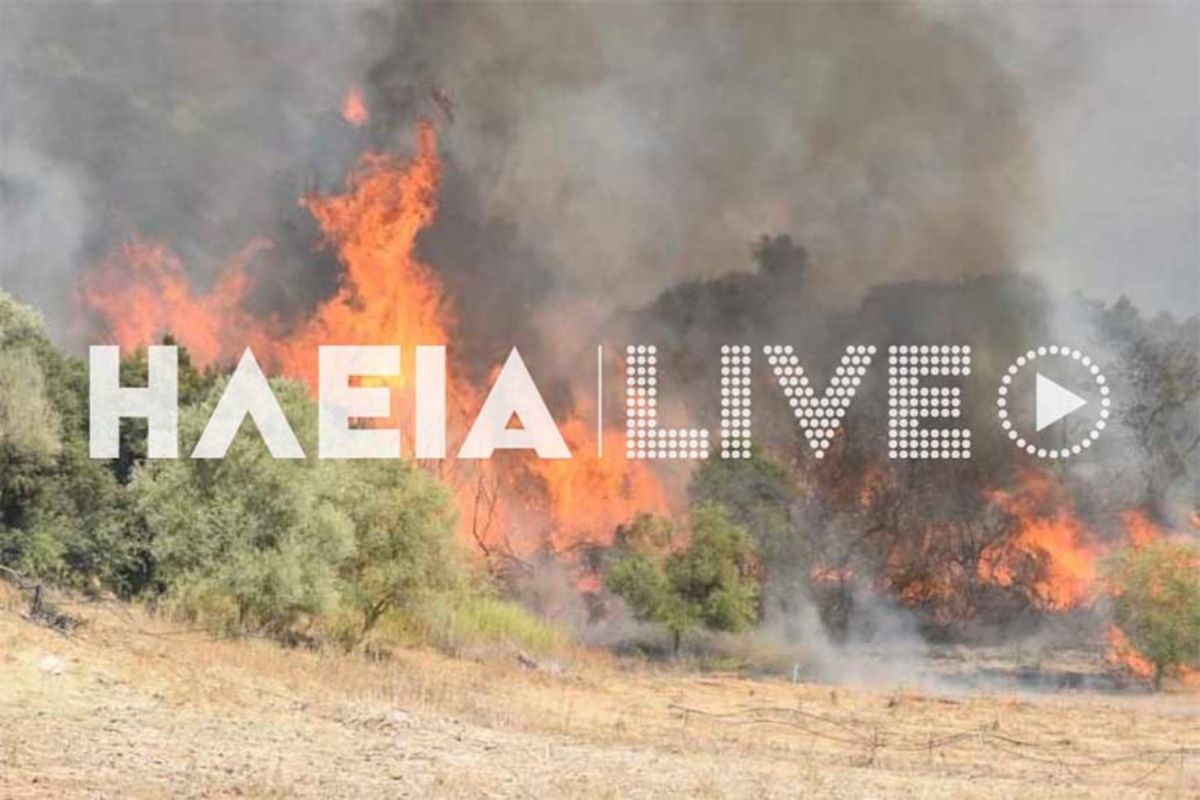 Φωτιά τώρα Ηλεία: Οι φλόγες πλησιάζουν σπίτια – Δόθηκε εντολή εκκένωσης
