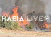 Φωτιά τώρα Ηλεία: Οι φλόγες πλησιάζουν σπίτια – Δόθηκε εντολή εκκένωσης Φωτιά τώρα Ηλεία: Οι φλόγες πλησιάζουν σπίτια – Δόθηκε εντολή εκκένωσης