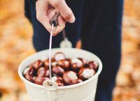 Πώς να ψήσουμε κάστανα