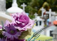Στην Ολλανδία η πρώτη κηδεία με «ζωντανό» φέρετρο Στην Ολλανδία η πρώτη κηδεία με «ζωντανό» φέρετρο