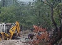 Άνθρωπος κρατιέται από κορμό δέντρου για να γλιτώσει από ορμητικό χείμαρρο στα Τρίκαλα [vid]