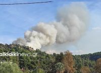Φωτιά στην Χαλκιδική: Για δεύτερη μέρα καίγεται πευκοδάσος στην Σιθωνία Φωτιά στην Χαλκιδική: Για δεύτερη μέρα καίγεται πευκοδάσος στην Σιθωνία
