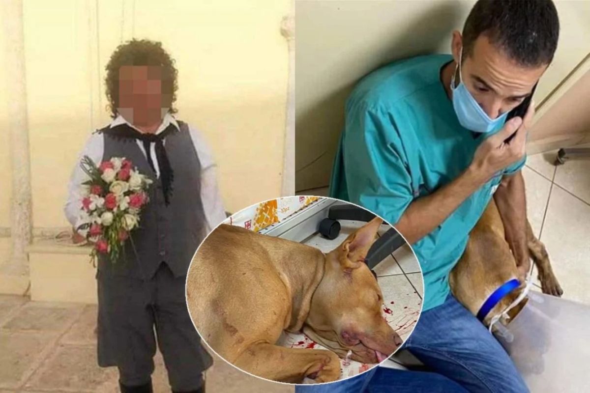 Σκύλος Χανιά: Σε διαθεσιμότητα ο υπάλληλος της ΔΕΗ που βασάνισε το ζώο