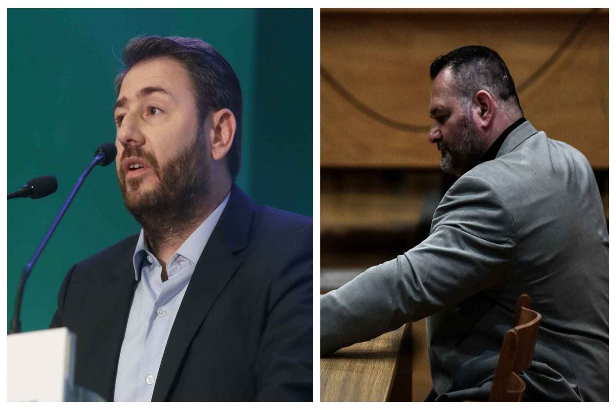 Λαγός Ανδρουλάκης: Επιστολή του ευρωβουλευτή του ΚΙΝΑΛ – «Να μη συμμετέχει στις εργασίες της Ευρωβουλής»