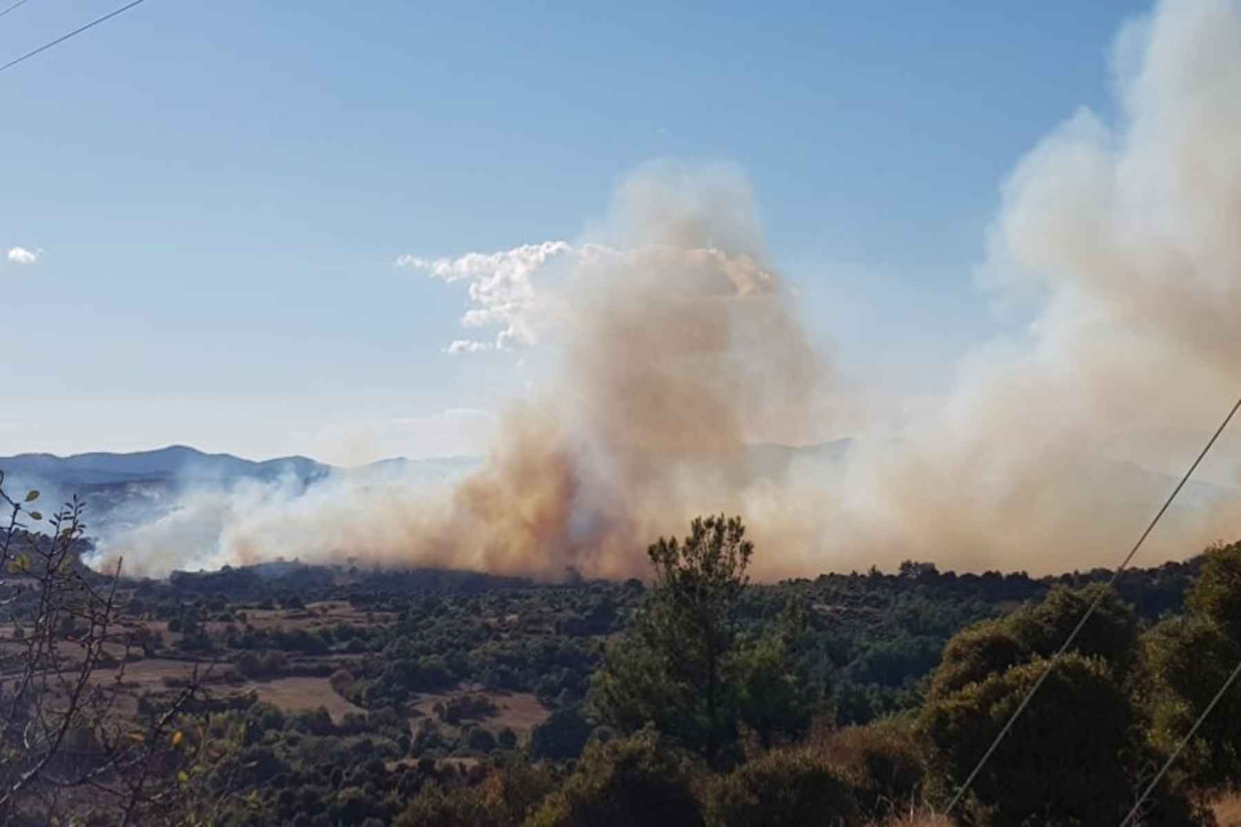 Φωτιά σε δασική έκταση στα Μέγαρα