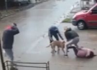 Άγρια επίθεση πίτμπουλ σε παιδί