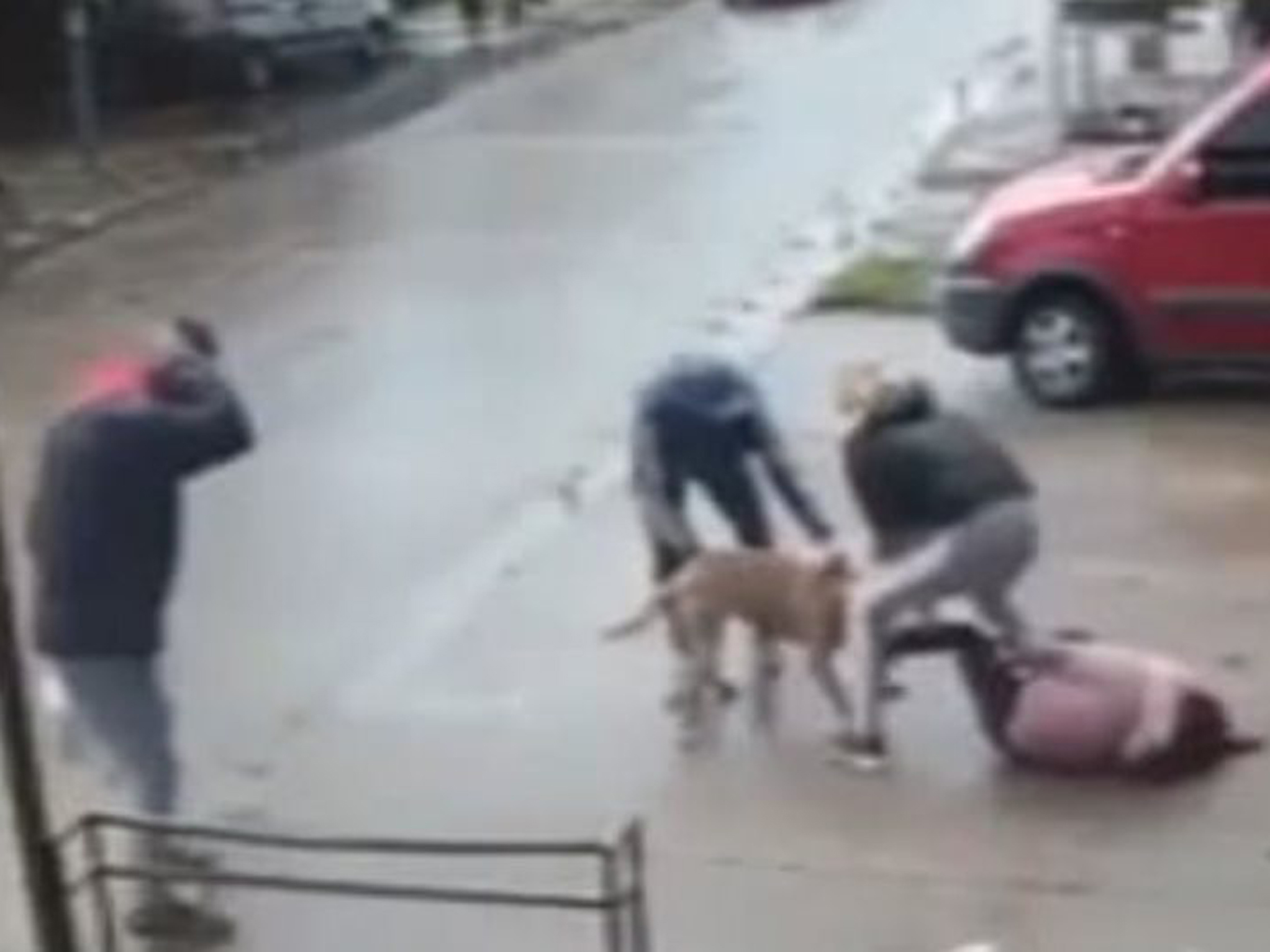 Άγρια επίθεση πίτμπουλ σε παιδί