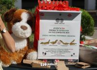 Νο kaka: Η πατέντα στην Λαμία για τις ακαθαρσίες των σκύλων [pics+vid]