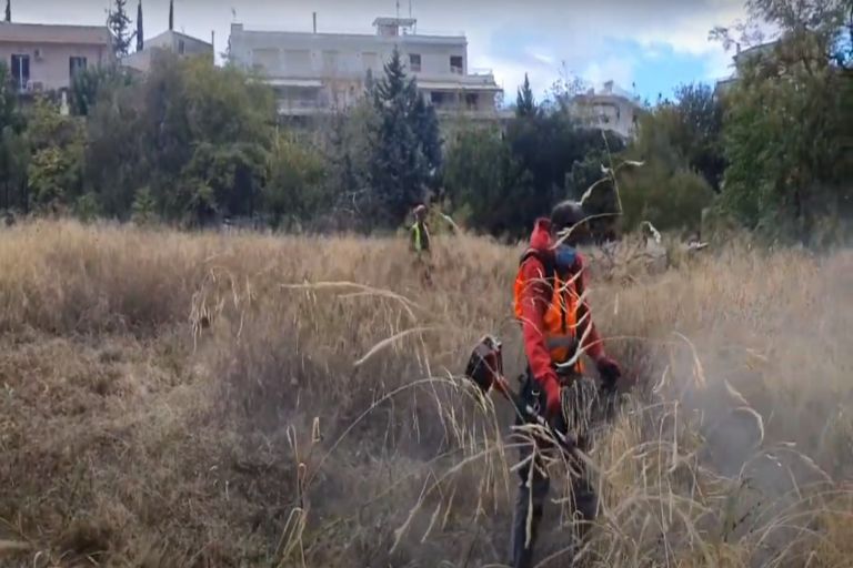Δήμος Αθηναίων Κουντουριώτικα: «6 στρέμματα αποδίδονται στους πολίτες για να γίνουν πνεύμονας πράσινου»
