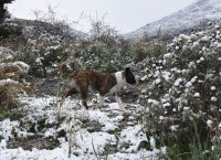 Κακοκαιρία «Λέανδρος»: Το χιόνι κάλυψε σχεδόν όλη την Ελλάδα την Κυριακή Κακοκαιρία «Λέανδρος»: Το χιόνι κάλυψε σχεδόν όλη την Ελλάδα την Κυριακή