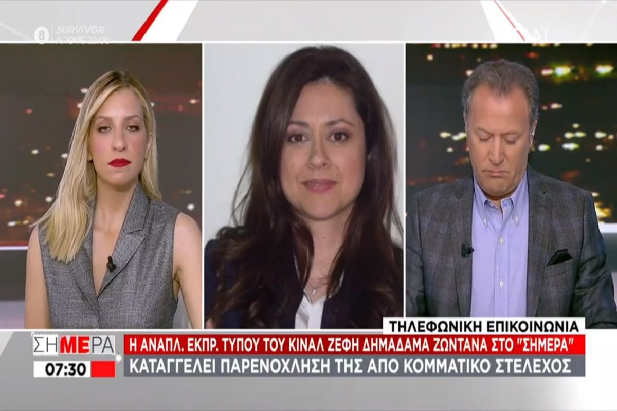 Ζέφη Δημαδάμα: Κομματικό στέλεχος με παρενόχλησε σε ασανσέρ