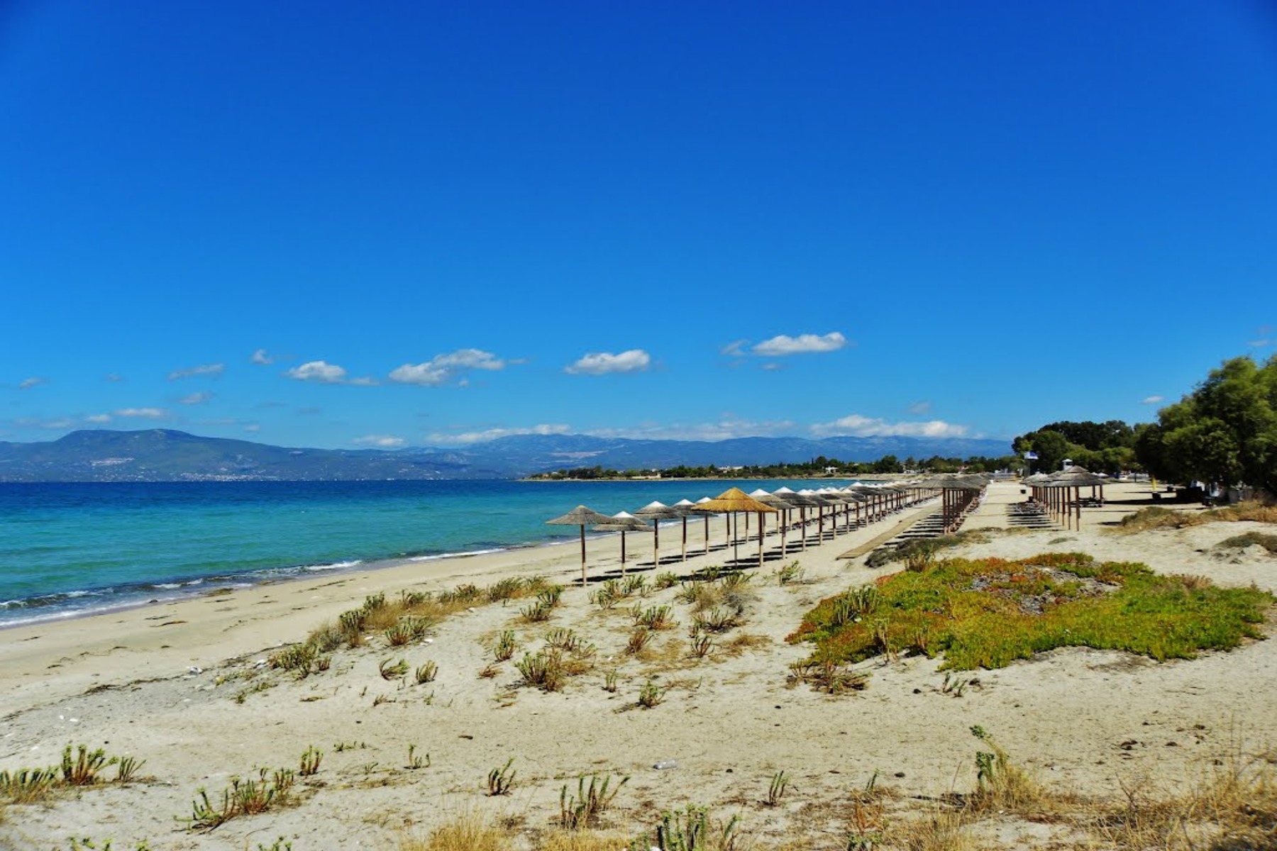 Νεκρή γυναίκα Εύβοια: Πτώμα εντοπίστηκε στην παραλία Αλυκές