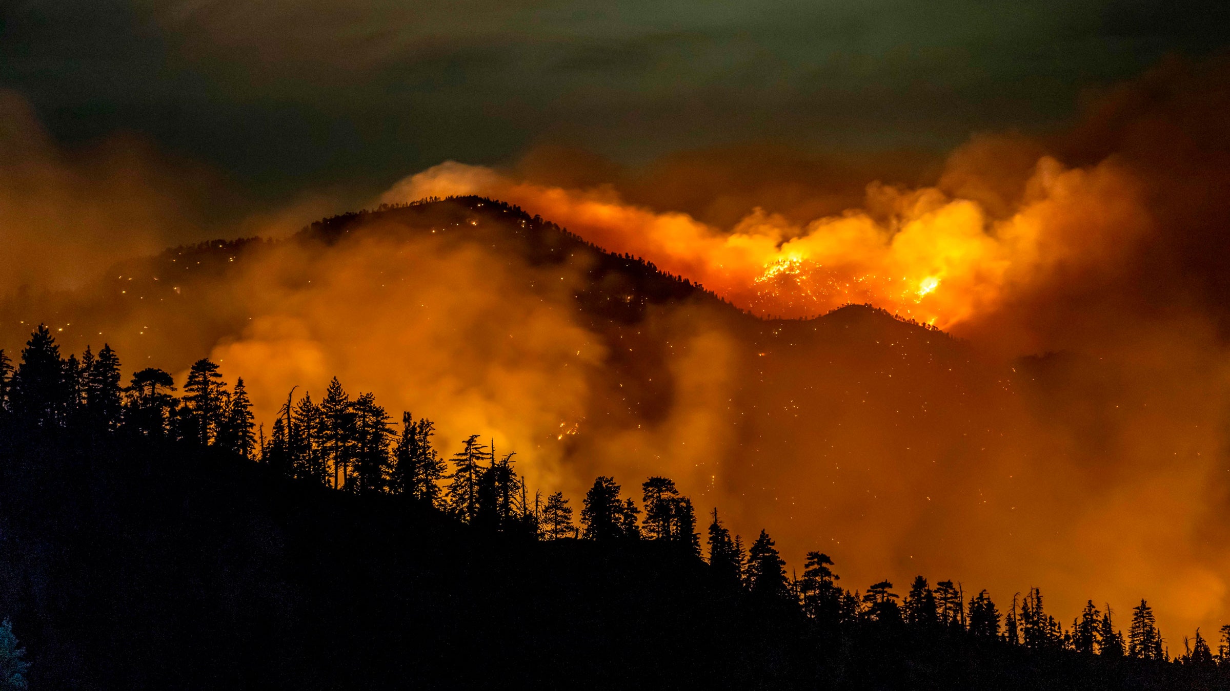 Κλιματική αλλαγή: Η WWF ανακοίνωσε ότι χάθηκαν 430 εκατομμύρια στρέμματα δασών