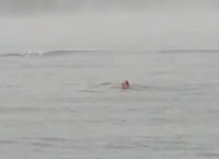 Μυτιλήνη χιόνια: Οι τολμηροί έκαναν μπάνιο σε μια θάλασσα που έβραζε [vid]