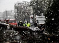 ΚΕΔΕ για «Μήδεια»: Δεν είναι ευθύνη των δήμων το κόψιμο των δέντρων ΚΕΔΕ για «Μήδεια»: Δεν είναι ευθύνη των δήμων το κόψιμο των δέντρων