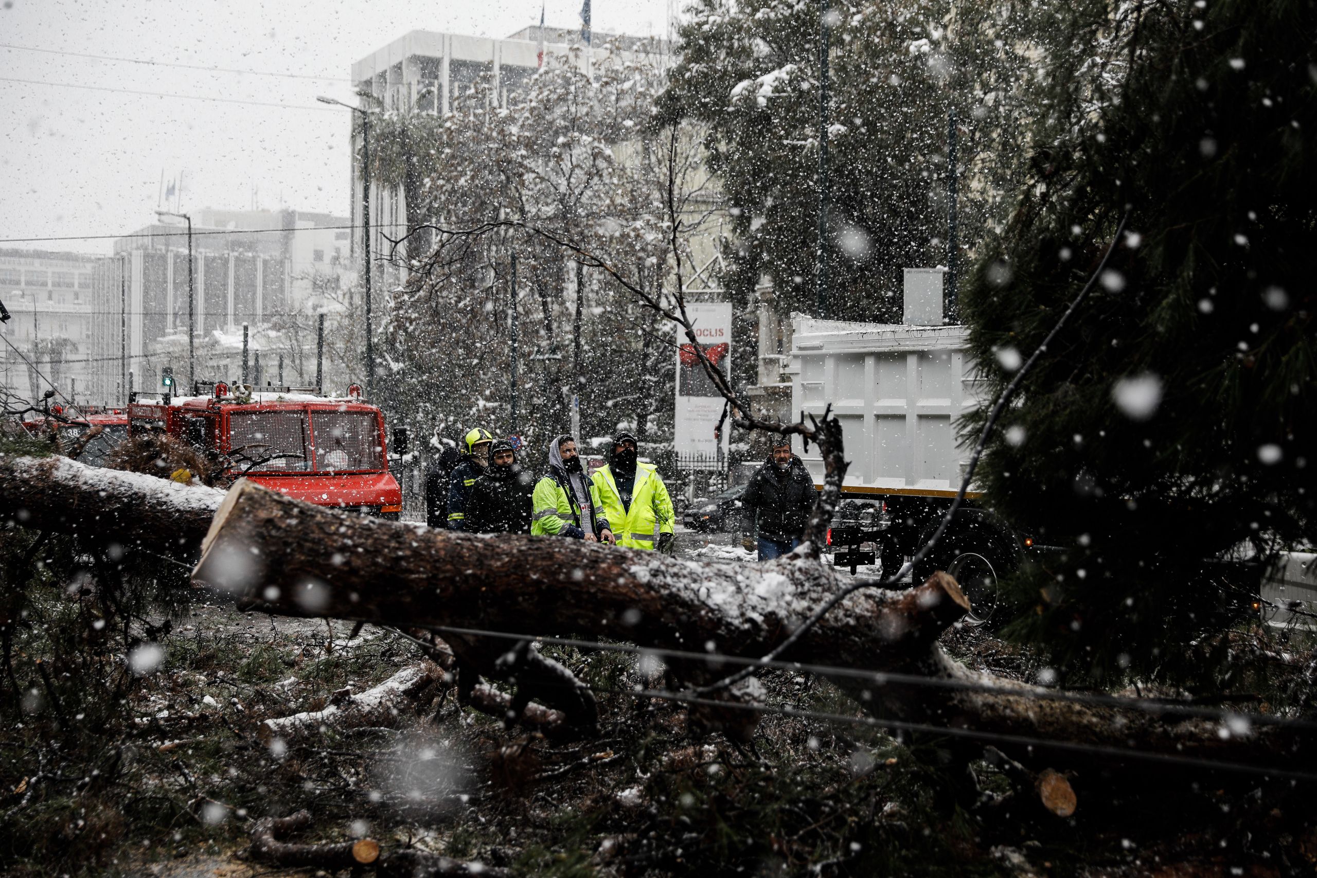 ΚΕΔΕ για «Μήδεια»: Δεν είναι ευθύνη των δήμων το κόψιμο των δέντρων