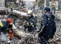Νεκρός άνδρας Εύβοια: Τον καταπλάκωσε δέντρο Νεκρός άνδρας Εύβοια: Τον καταπλάκωσε δέντρο