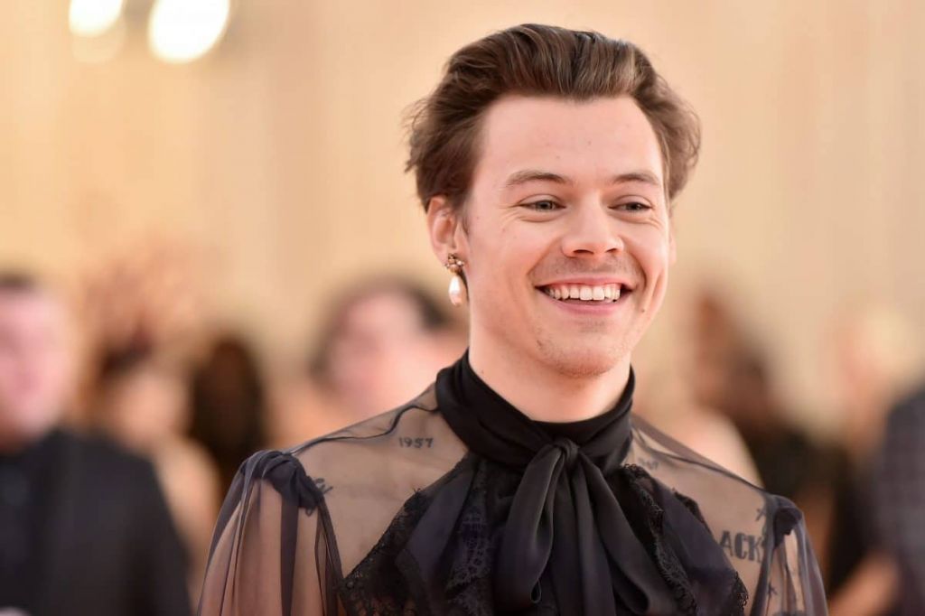 Harry Styles: Oι φορές που ξεχώρισε με το στιλ του
