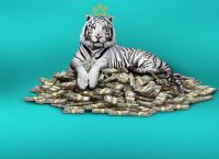 The White Tiger: Η ινδική ταινία που «σπάει» τα ταμεία στο Netflix The White Tiger: Η ινδική ταινία που «σπάει» τα ταμεία στο Netflix