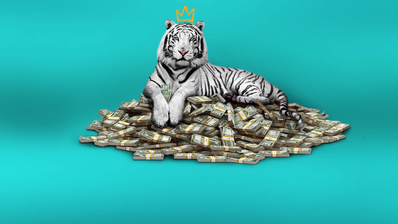 The White Tiger: Η ινδική ταινία που «σπάει» τα ταμεία στο Netflix