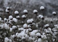 Καιρός αύριο 24 Μαρτίου: Η πρόγνωση για την Τετάρτη