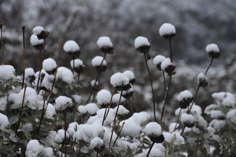 Καιρός αύριο 24 Μαρτίου: Η πρόγνωση για την Τετάρτη