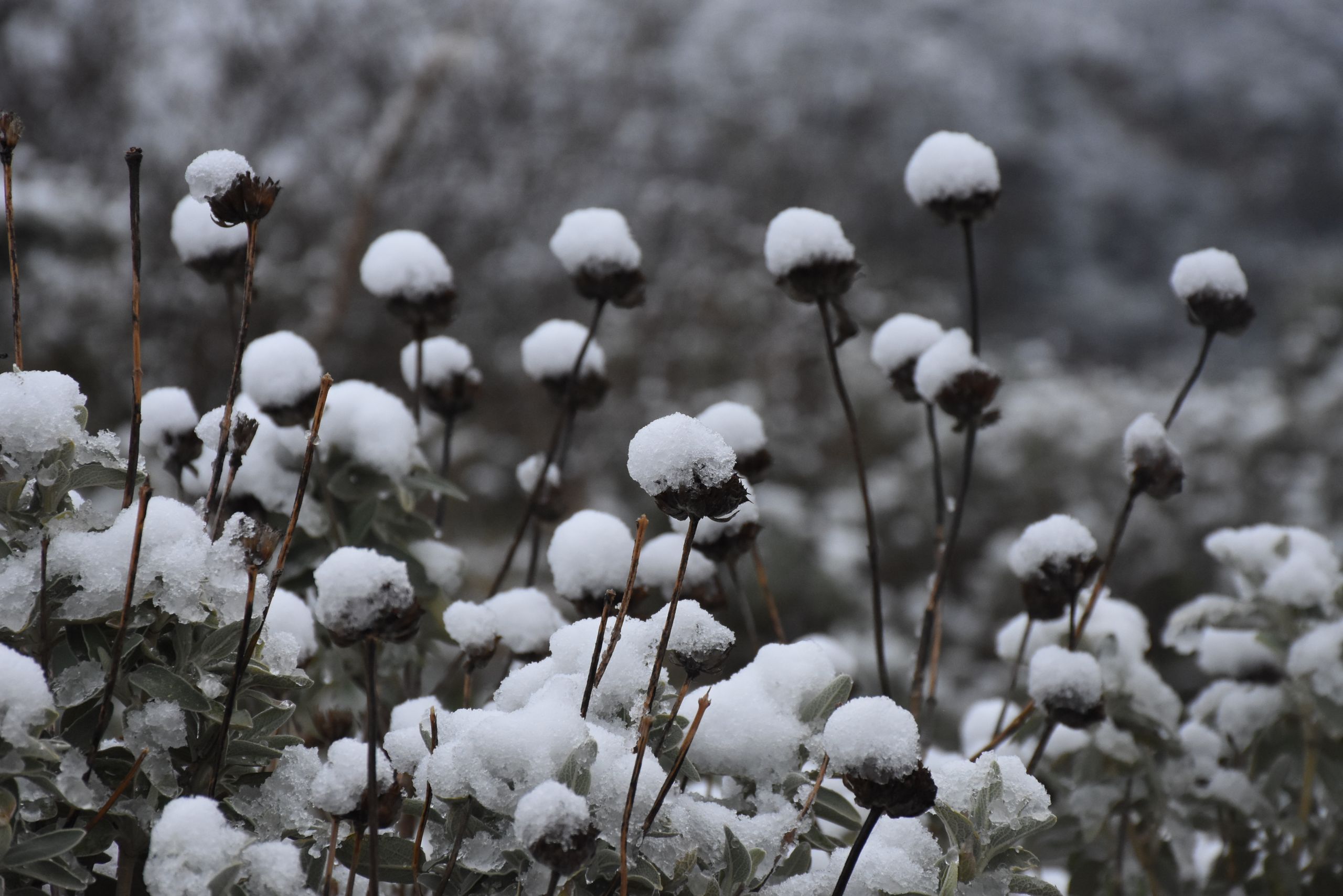 Καιρός αύριο 24 Μαρτίου: Η πρόγνωση για την Τετάρτη