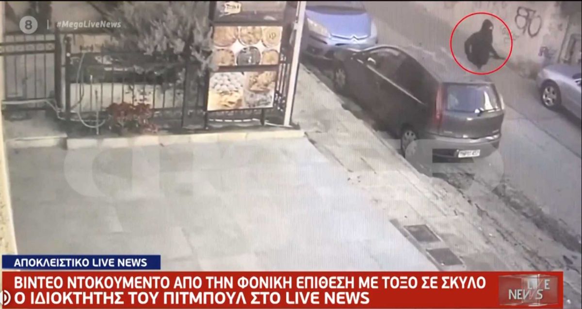 Πετρούπολη σκύλος: Βίντεο – ντοκουμέντο για την φονική επίθεση με βαλλίστρα
